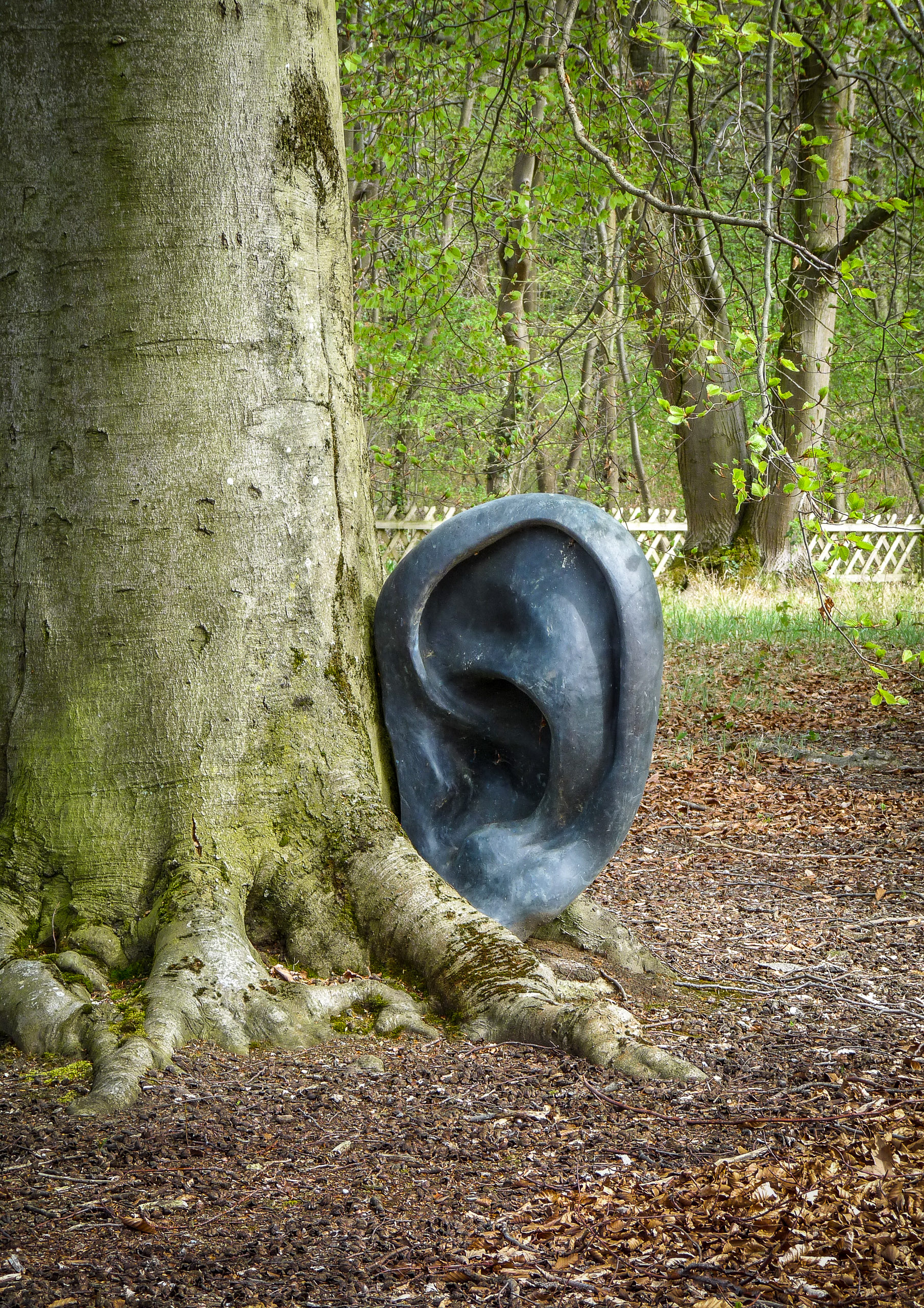 20180414153239 P1110066